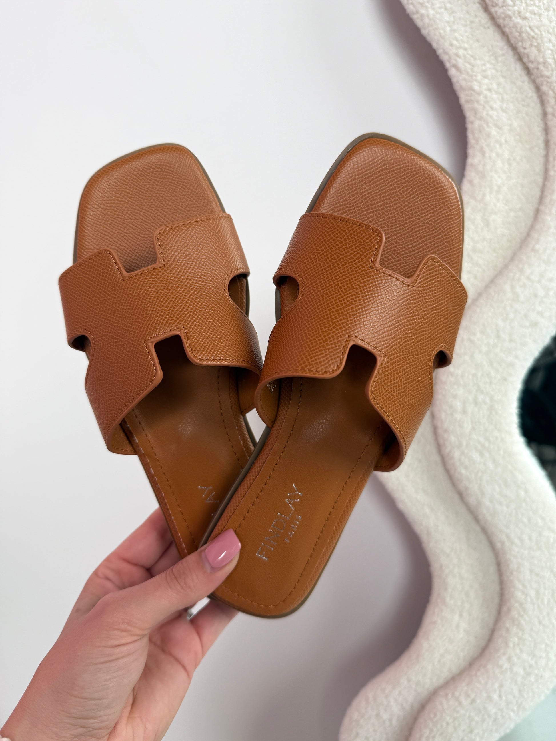 Avani Camel Slides